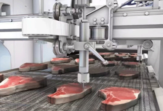 Waterjet Cutting Food